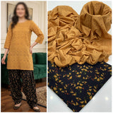 Chikan kari 2 pc Dress