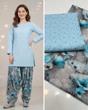 chikan kari 2 pc Dress