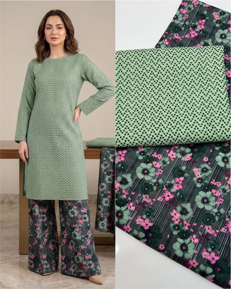 Chikan kari 2 pc Dress