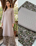 Chikan kari 2 pc Dress