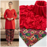 chikan kari 2 pc Dress