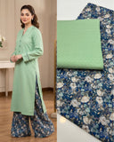 Chikan kari 2 pc Dress