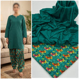 chikan kari 2 pc Dress