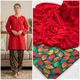chikan kari 2 pc Dress