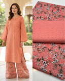 Chikan kari 2 pc Dress