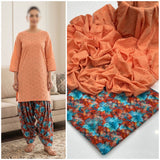 chikan kari 2 pc Dress